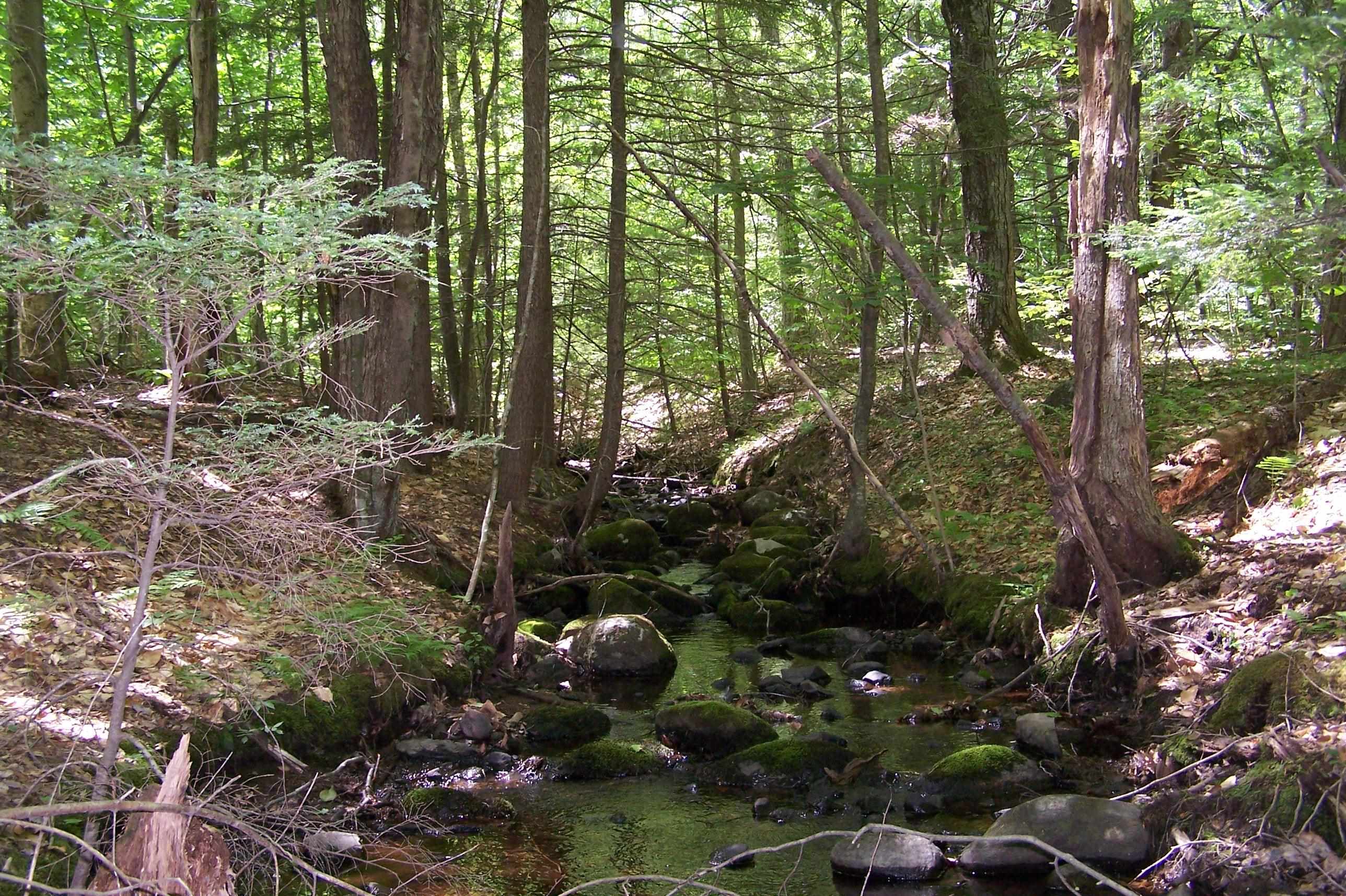 222-3 Fisher Road Deering, NH 03244 - Photo 3 of 19