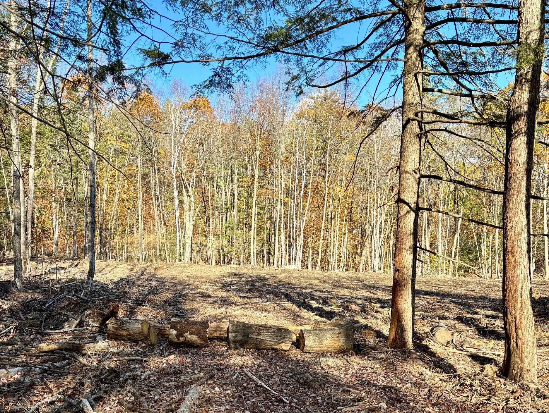 222-3 Fisher Road Deering, NH 03244 - Photo 5 of 19