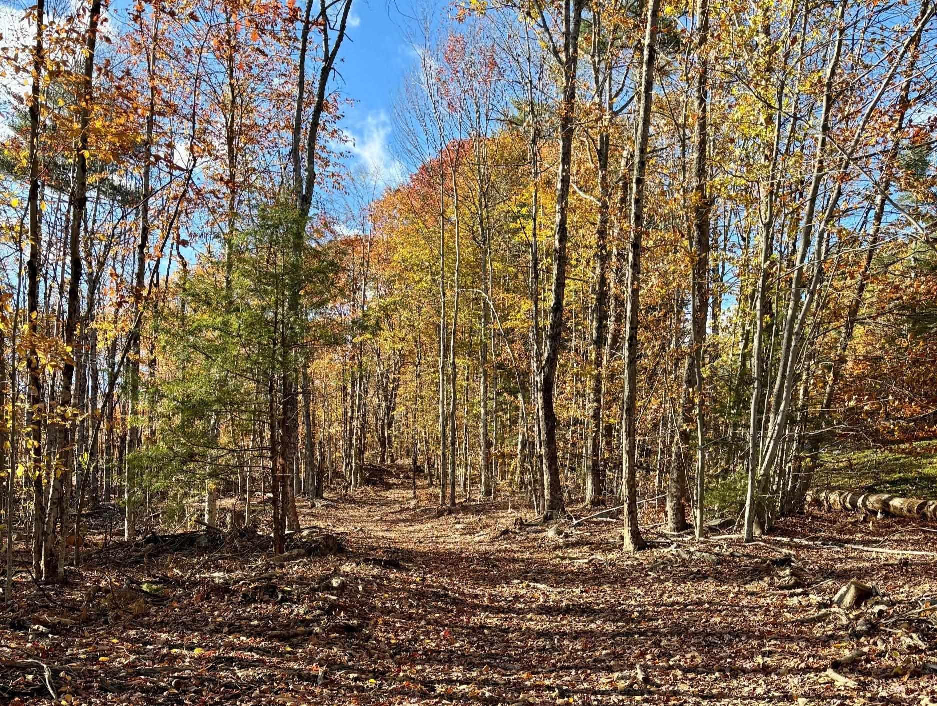 222-3 Fisher Road Deering, NH 03244 - Photo 6 of 19