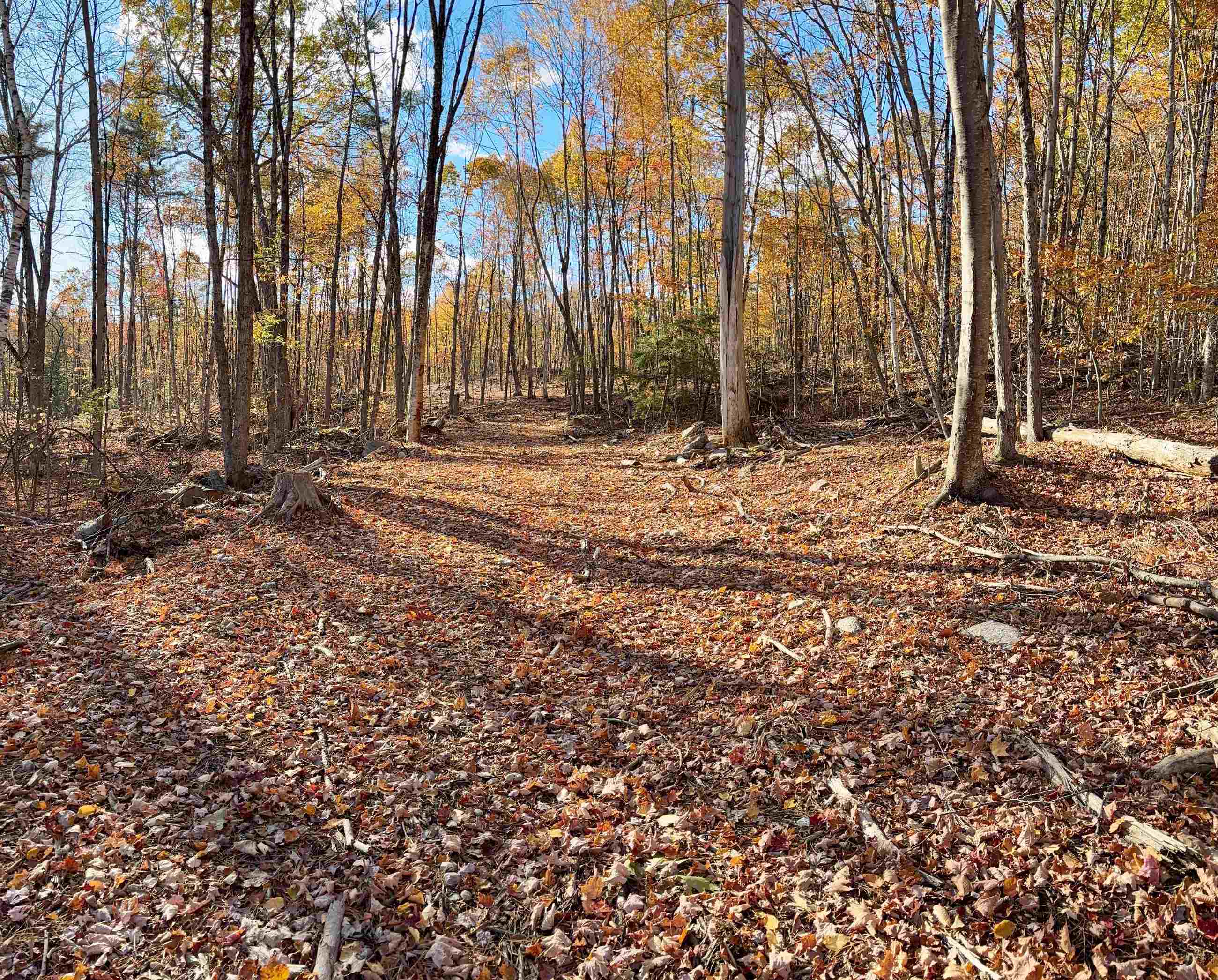 222-3 Fisher Road Deering, NH 03244 - Photo 7 of 19