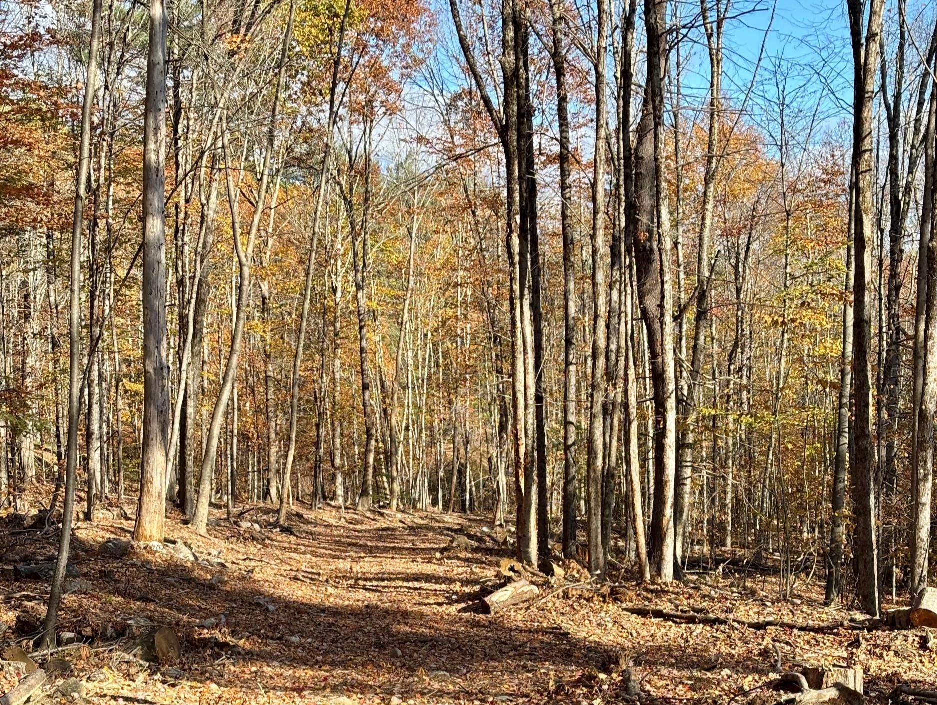 222-3 Fisher Road Deering, NH 03244 - Photo 8 of 19