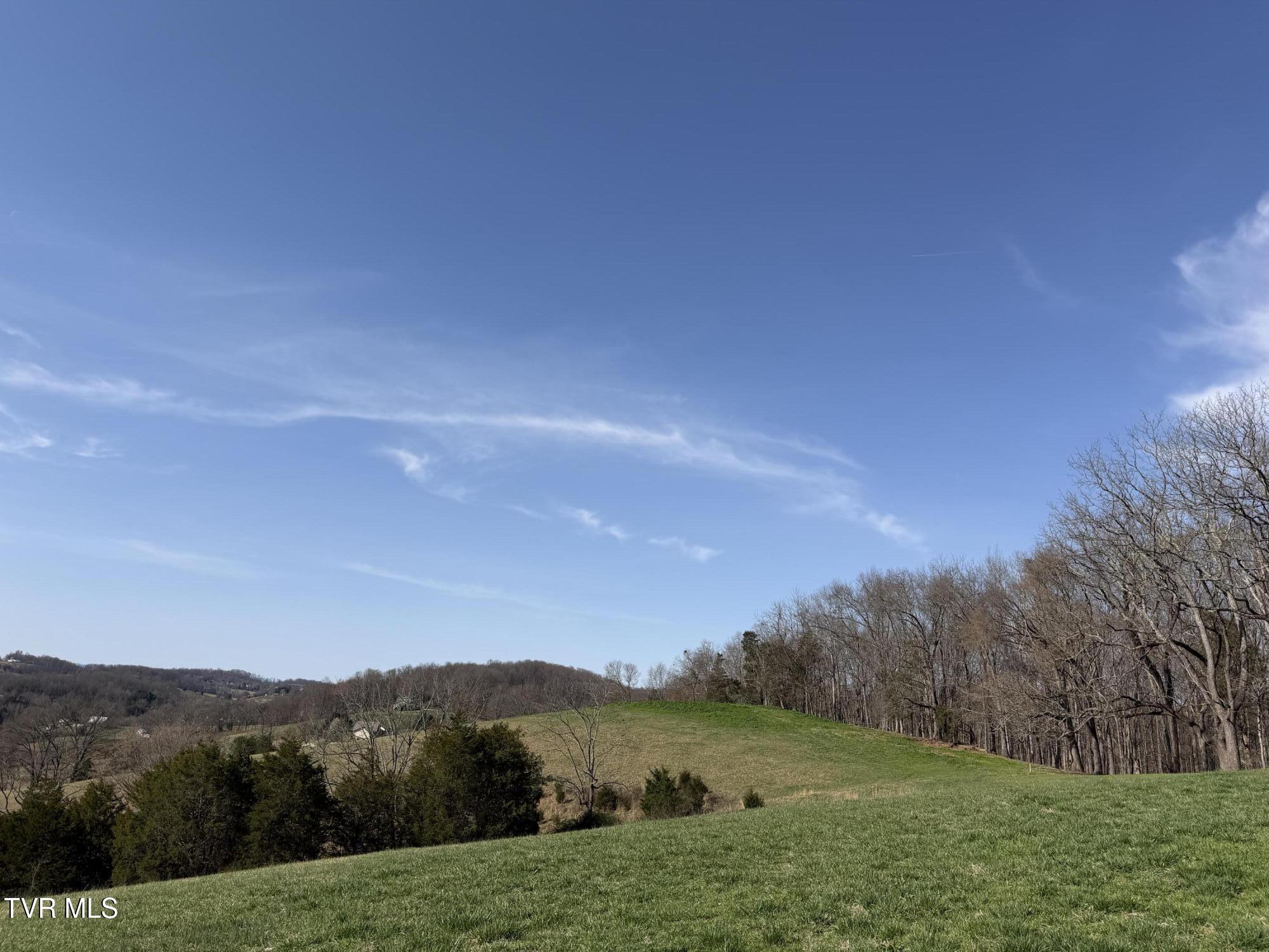 1578 Hunting Hill Road Bluff City, TN 37618 - Photo 5 of 20 IMG_5736
