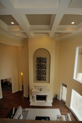 10 Ruffled Feathers Drive Lemont, IL 60439 - Photo 14 of 25 a living room with furniture and a fireplace