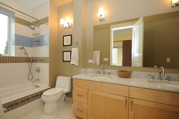 10 Ruffled Feathers Drive Lemont, IL 60439 - Photo 17 of 25 a bathroom with a granite countertop sink toilet and shower