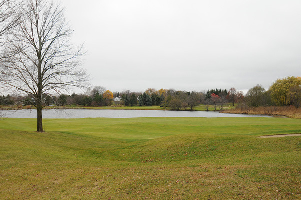 10 Ruffled Feathers Drive Lemont, IL 60439 - Photo 24 of 25 a view of lake view and mountain