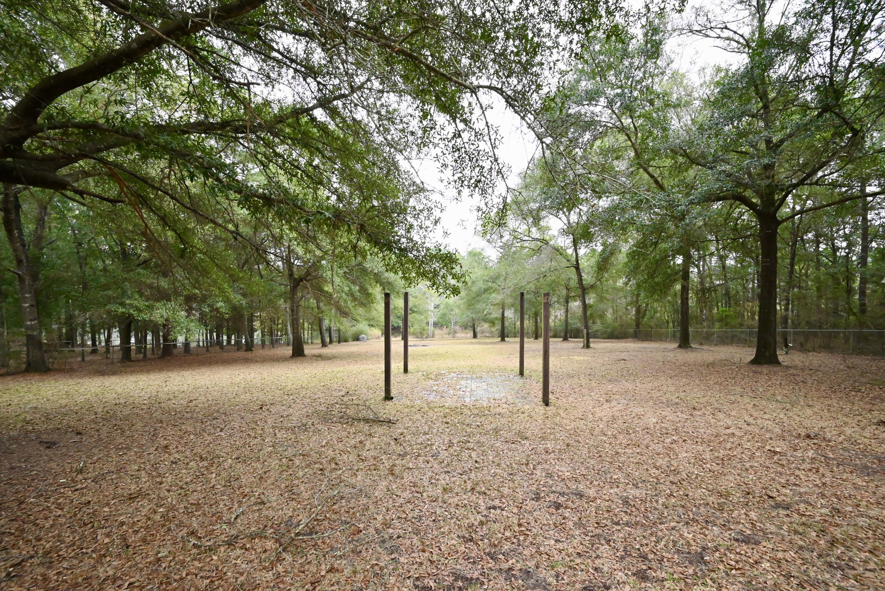 202 Shell Drive Crestview, FL 32536 - Photo 31 of 38 a view of empty area with tree s