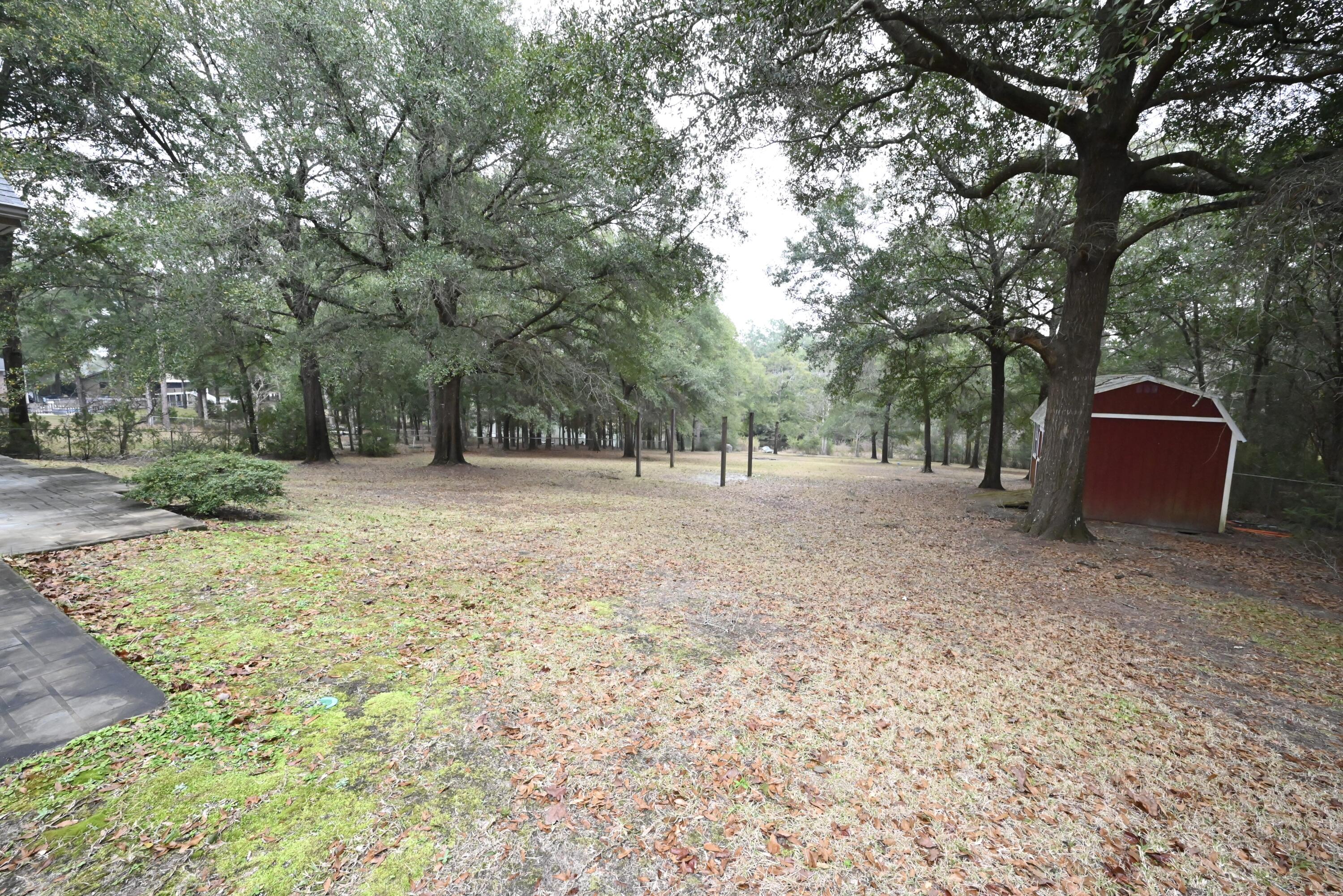 202 Shell Drive Crestview, FL 32536 - Photo 35 of 38 a backyard of a house with trees and stairs