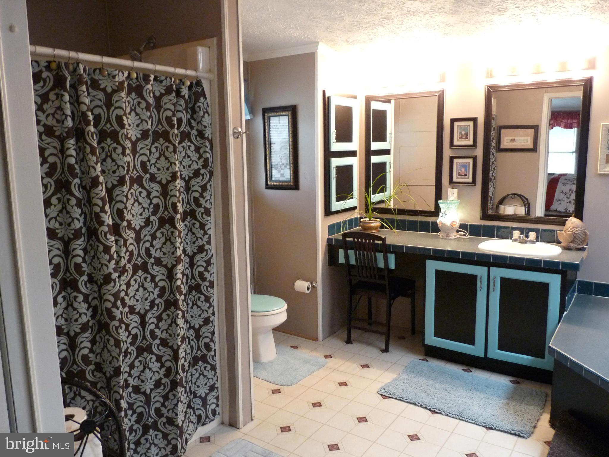 1810 Castleton Road Darlington, MD 21034 - Photo 21 of 30 Bath (Master)