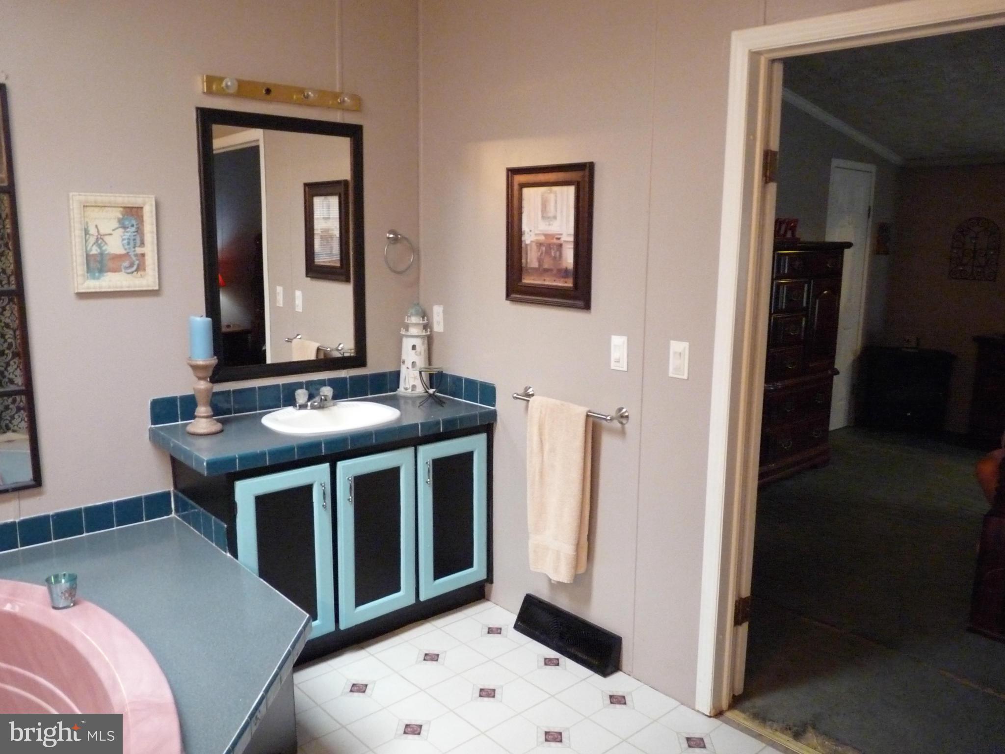 1810 Castleton Road Darlington, MD 21034 - Photo 23 of 30 Bath (Master)