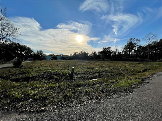 0 Haas Road Pearl River, LA 70452 - Photo 6 of 7