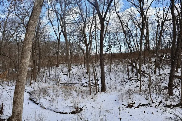 $525,000 | 962 Northwest 445 Road, Centerview, MO 64019