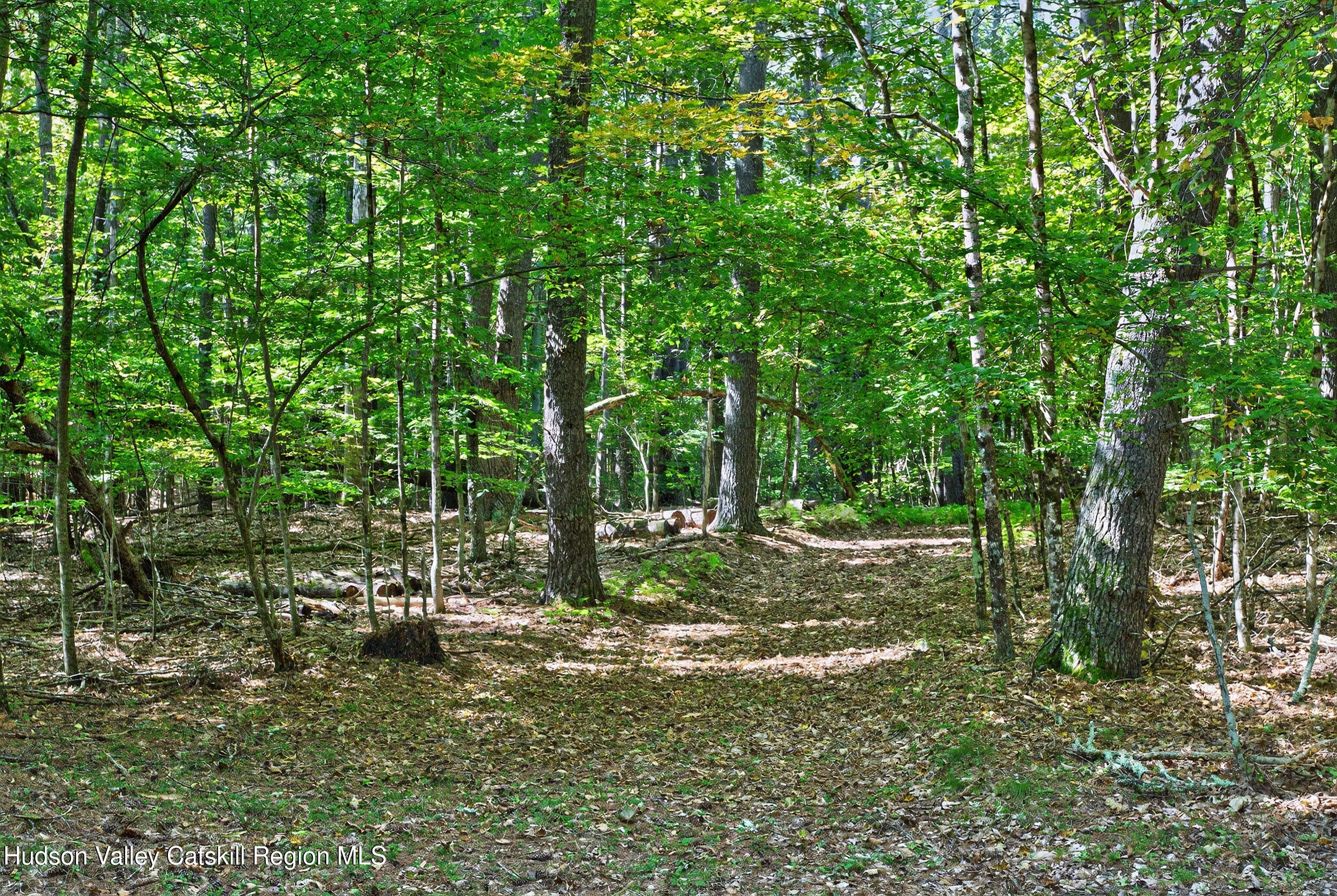 214 Doman Road Freehold, NY 12431 - Photo 52 of 54 35-print-214-doman-rd