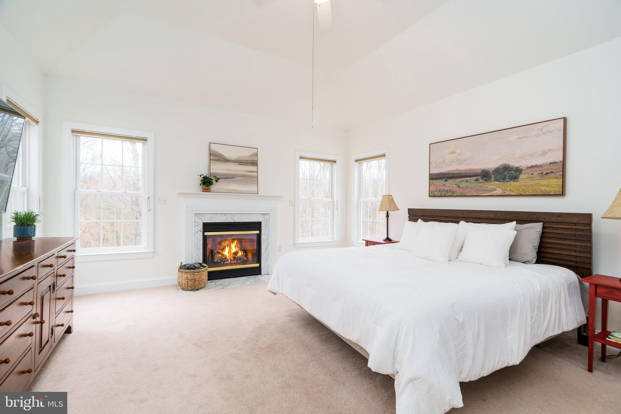 31 Wood Chip Road Elkton, MD 21921 - Photo 25 of 42 a bedroom with a bed and a fireplace