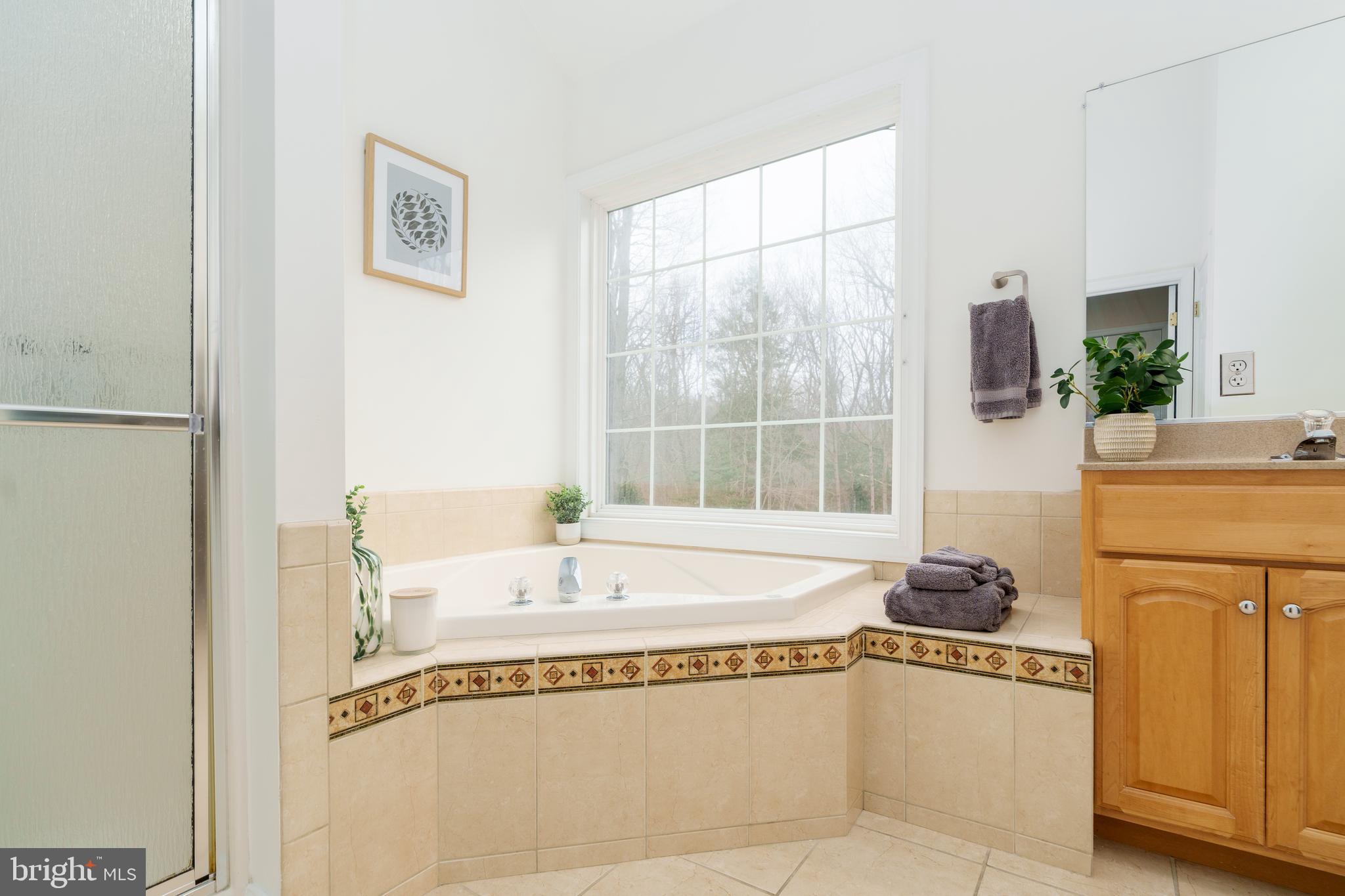 31 Wood Chip Road Elkton, MD 21921 - Photo 28 of 42 a spacious bathroom with a tub sink and mirror