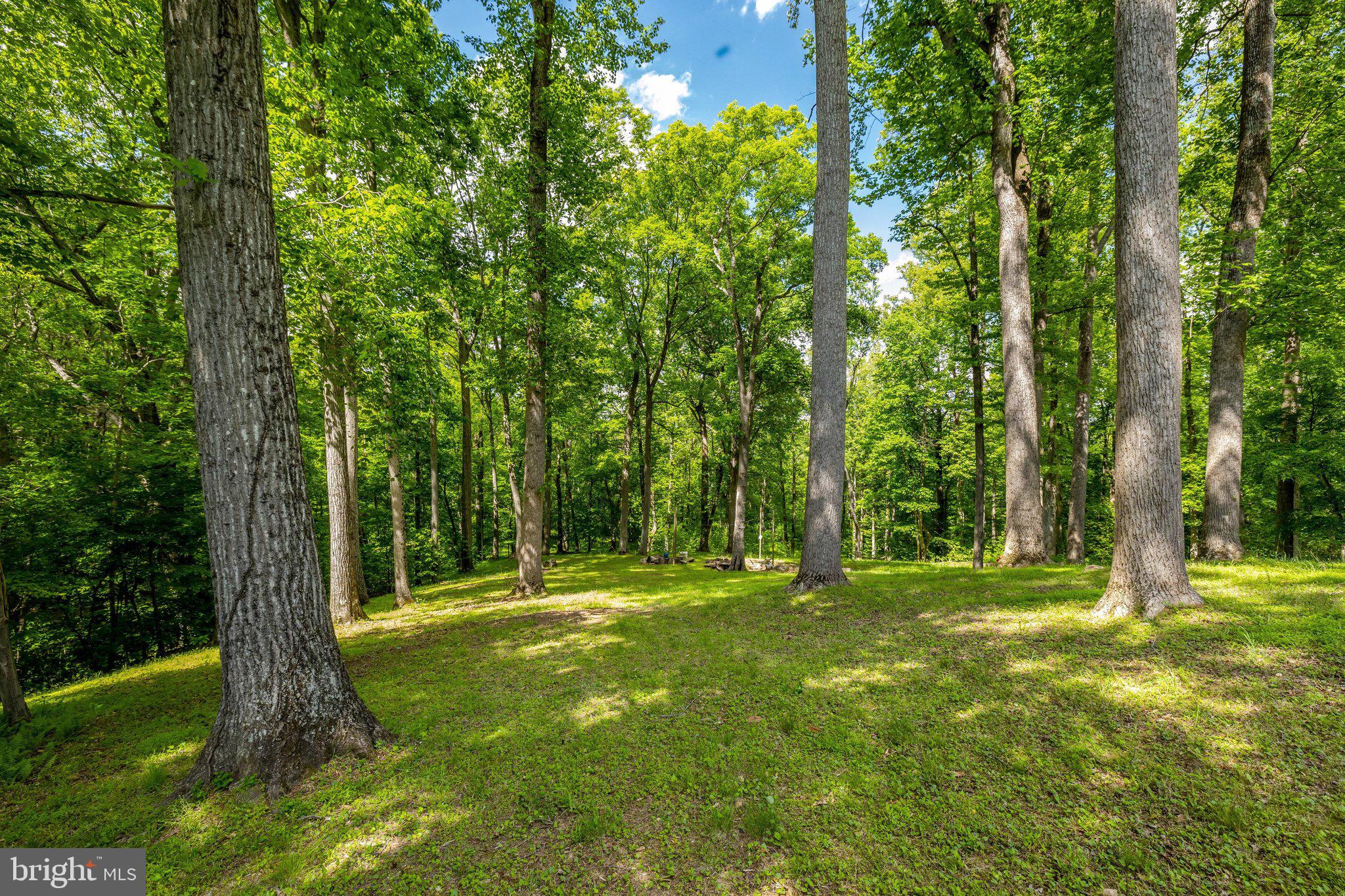 105 Interpromontory Road Great Falls, VA 22066 - Photo 71 of 76