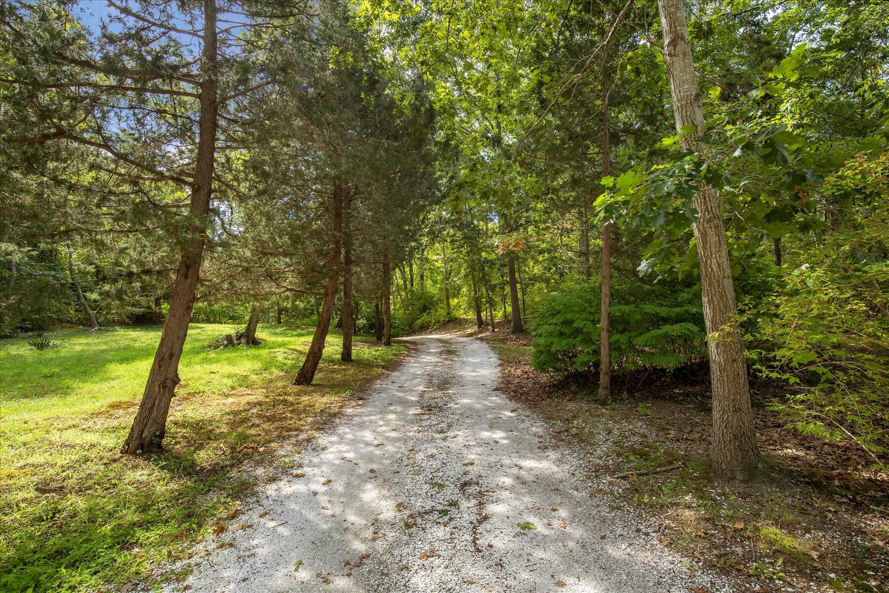 225 Coles Neck Road Wellfleet, MA 02667 - Photo 5 of 51 a view of outdoor space with trees