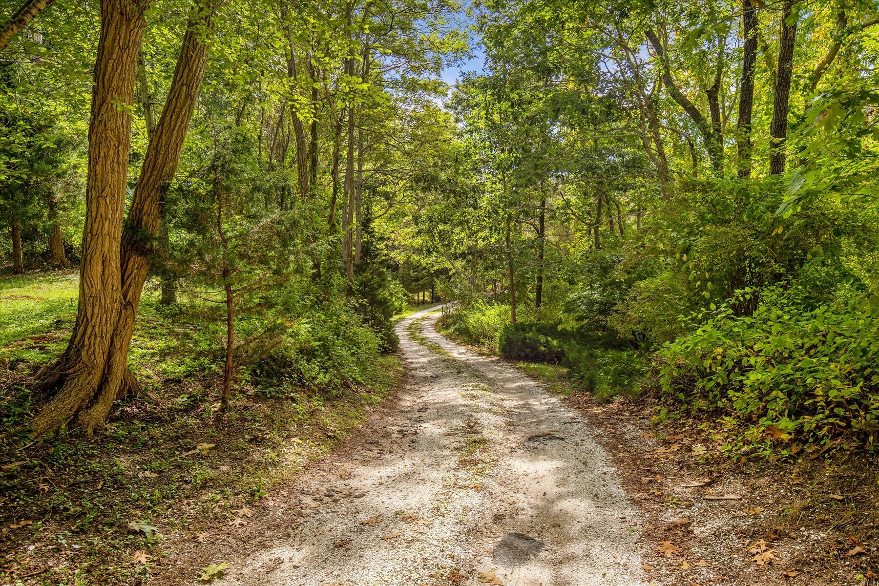 225 Coles Neck Road Wellfleet, MA 02667 - Photo 6 of 51 a view of a yard with plants and tree