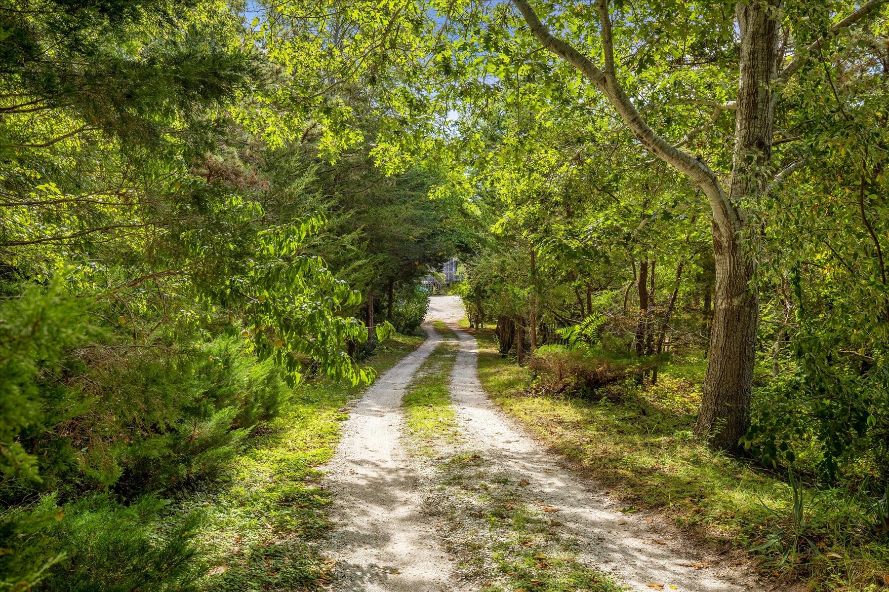 225 Coles Neck Road Wellfleet, MA 02667 - Photo 7 of 51