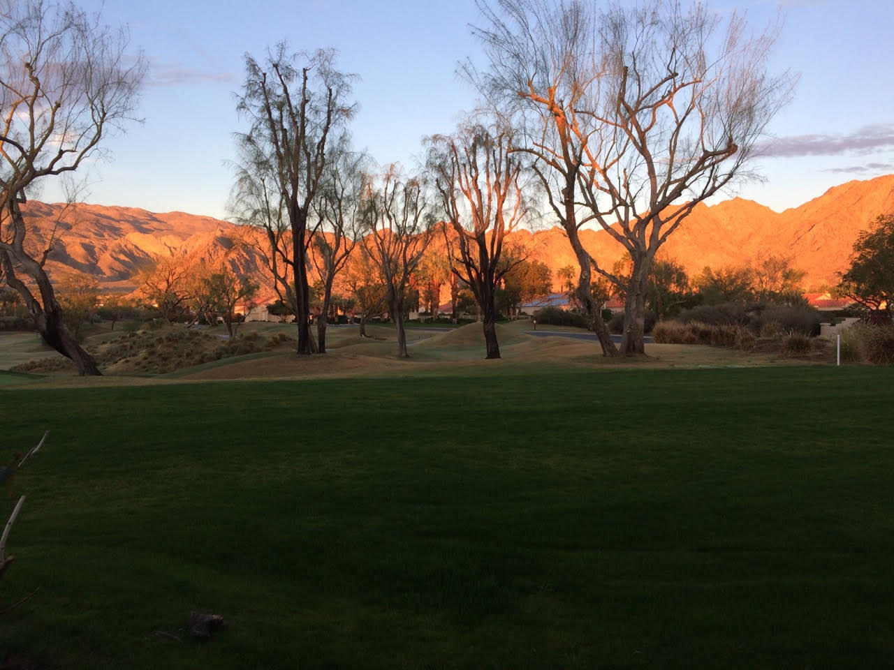 57255 Interlachen La Quinta, CA 92253 - Photo 13 of 34 a view of grassy field with trees