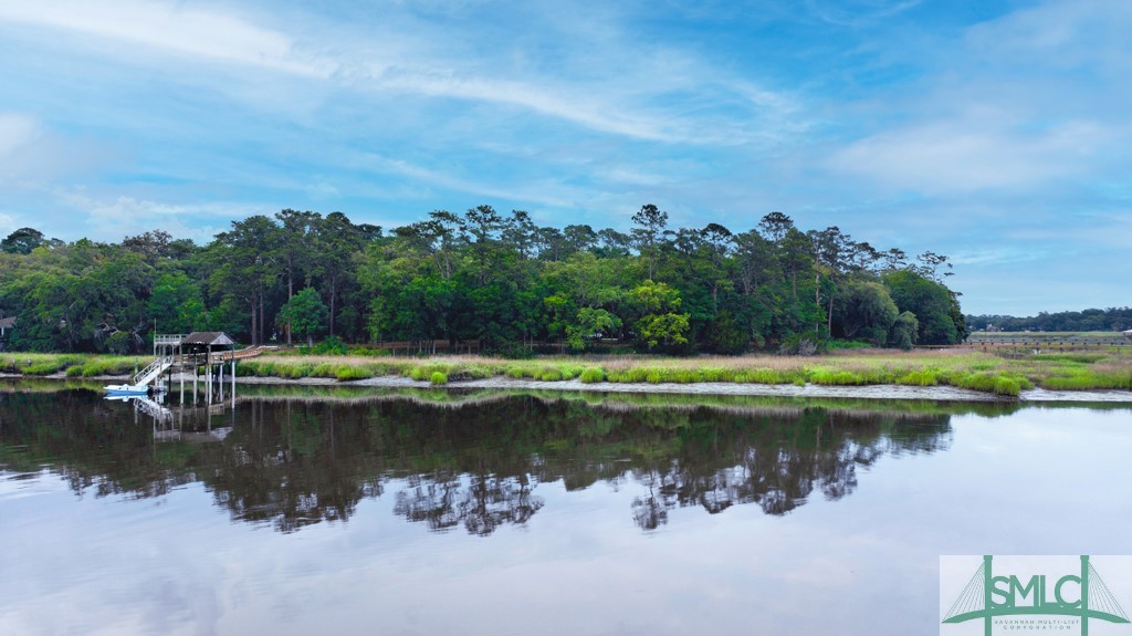 829 Dancy Avenue Savannah, GA 31419 - Photo 15 of 18
