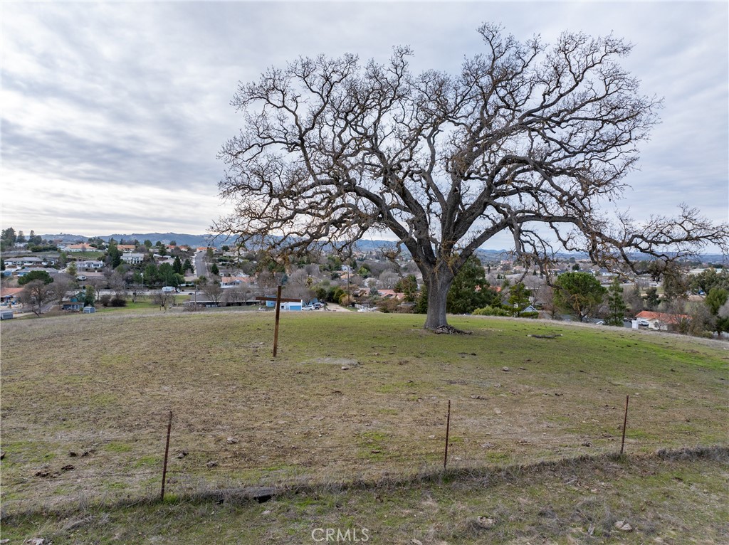 2450 Golden Hill Road Paso Robles, CA 93446 - Photo 10 of 24