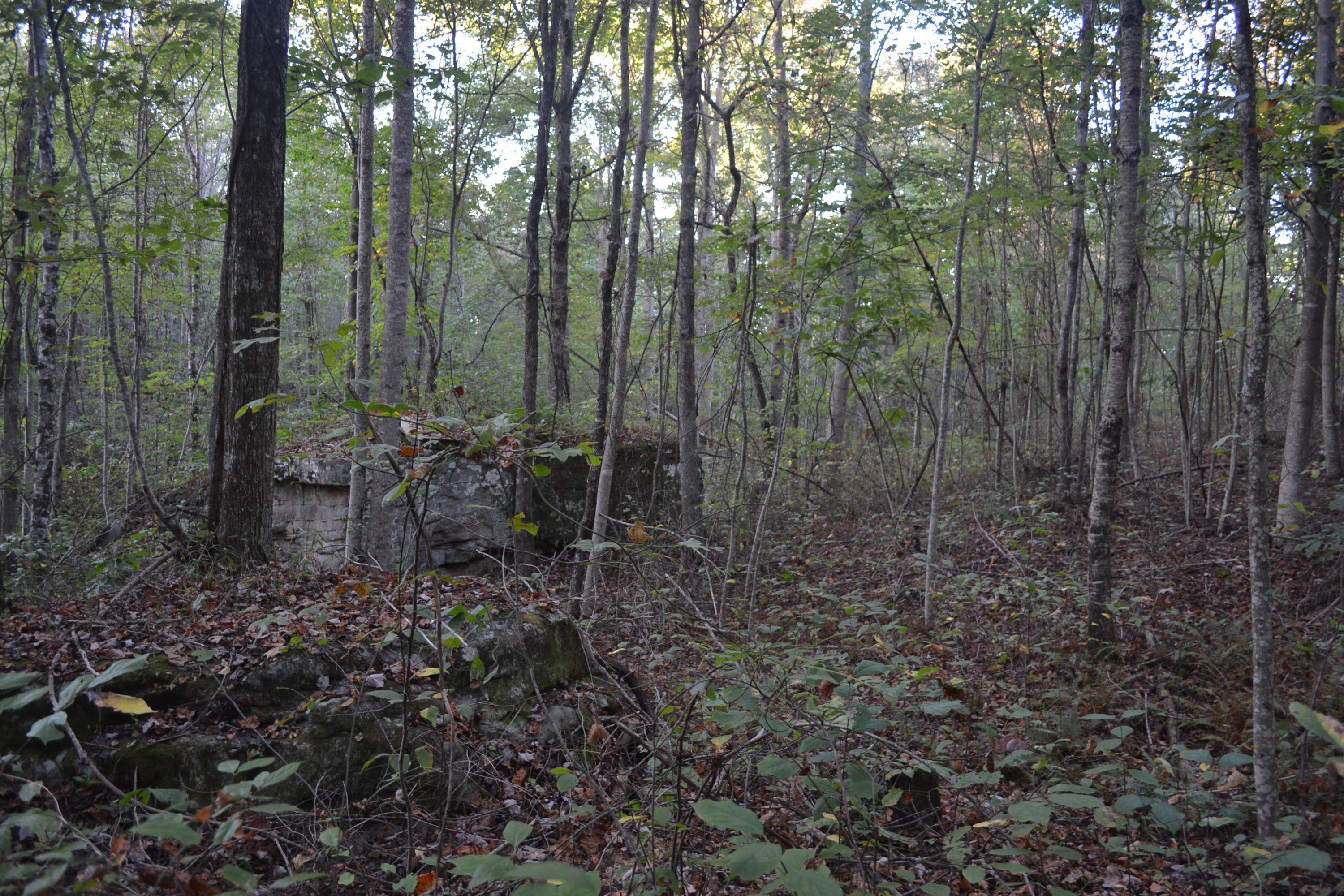 44.32-ac C Road Whitwell, TN 37397 - Photo 3 of 10 79
