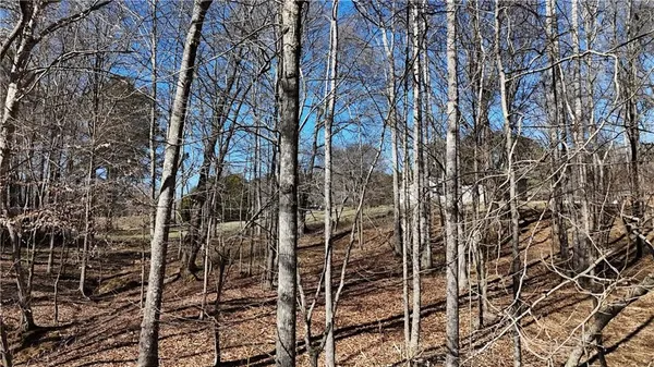 a backyard of a house with large trees