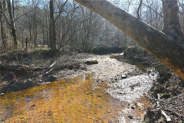 a view of a forest with trees