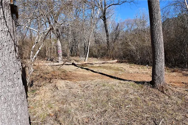 a view of a tree with a yard