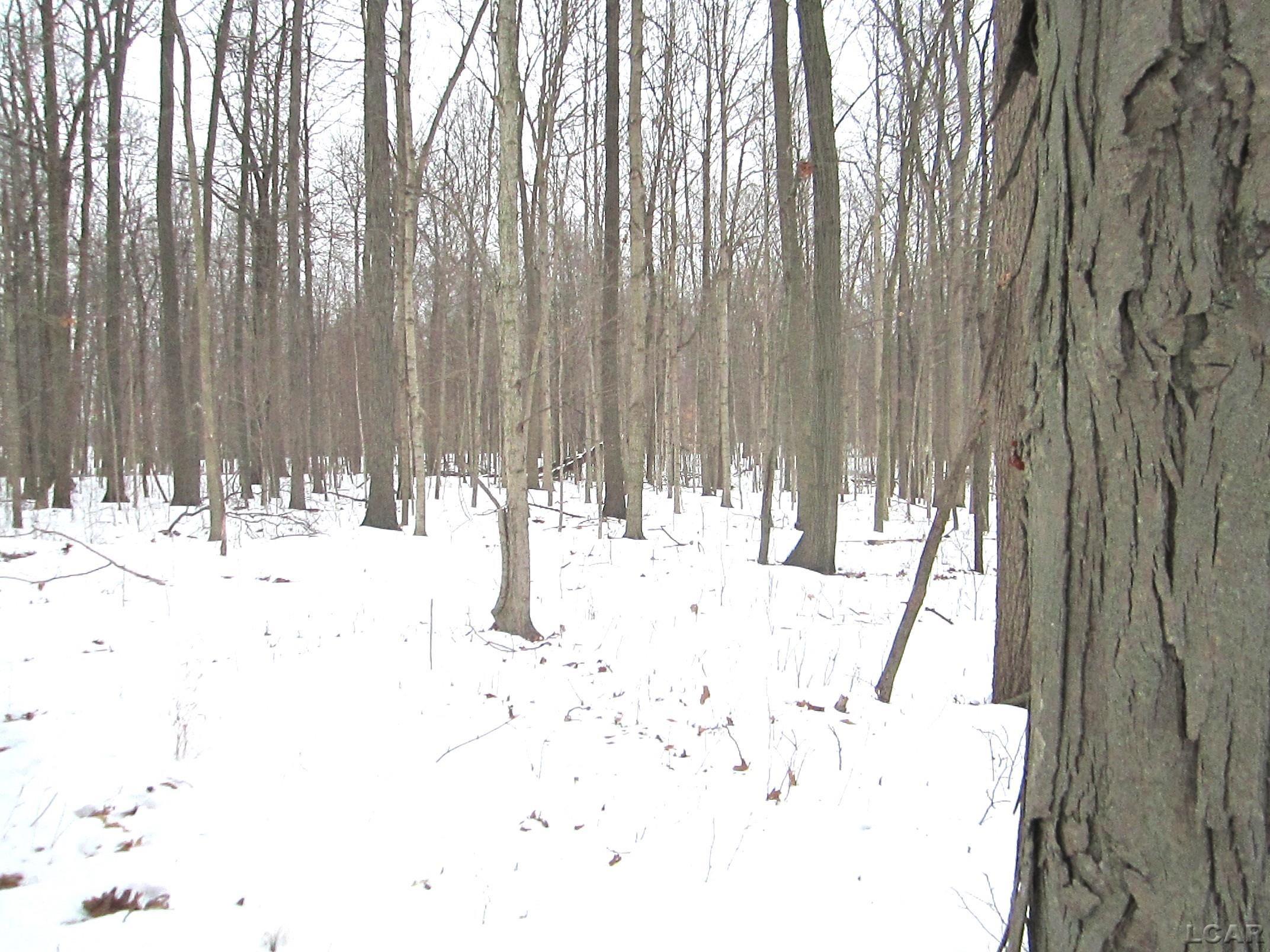Lee Road Road Waldron, MI 49288 - Photo 4 of 5