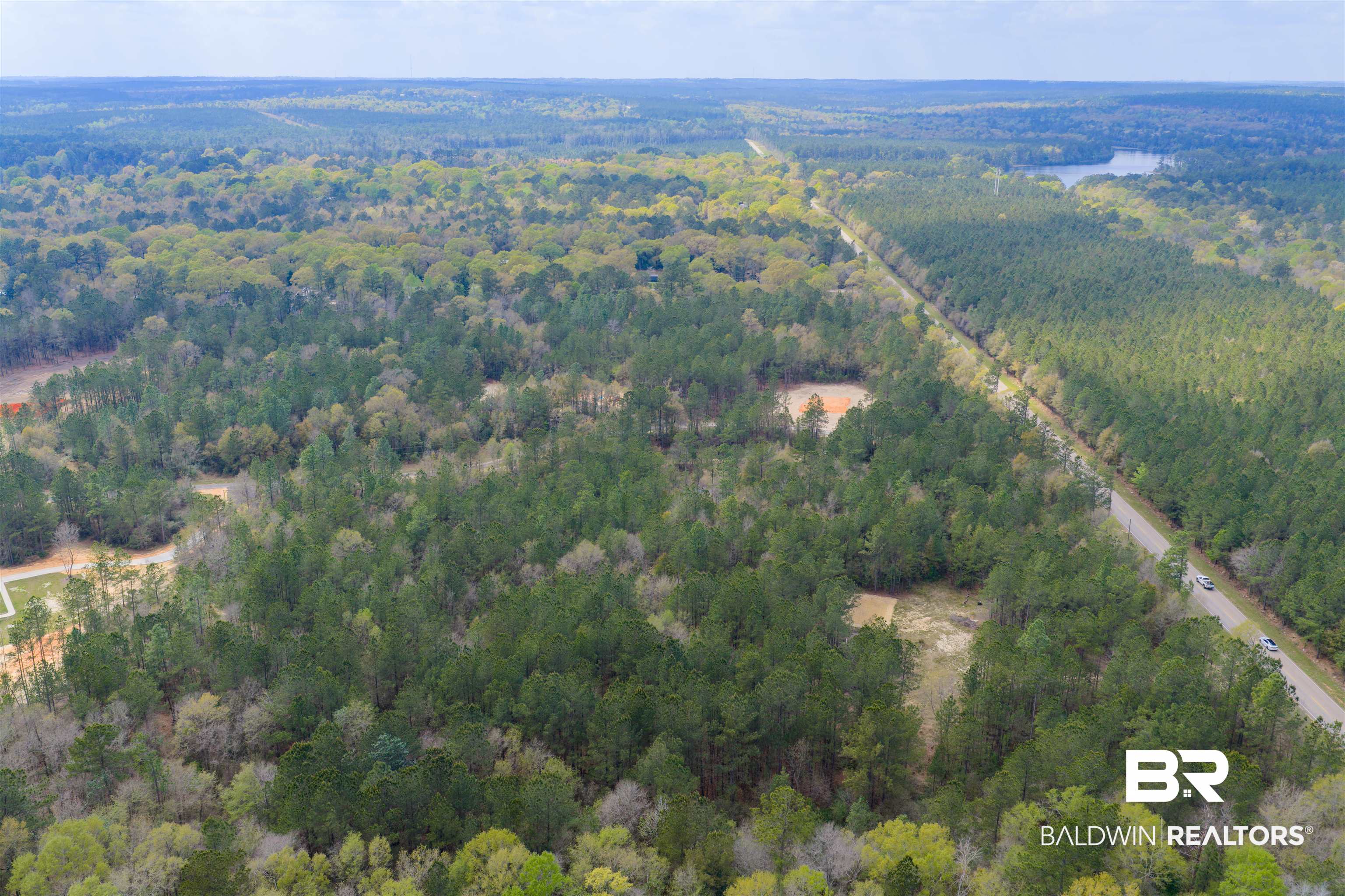 0 Salco Road Axis, AL 36505 - Photo 7 of 24 Bird's eye view of a forest