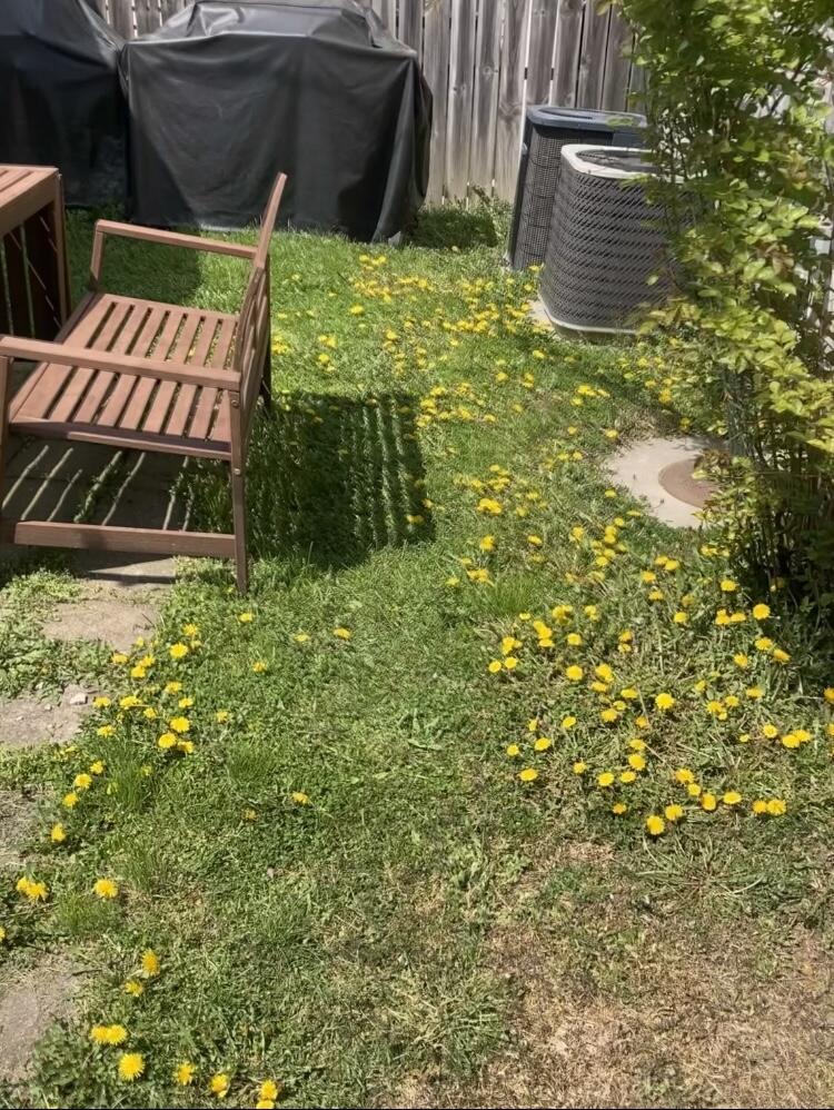 2863 West Belden Avenue, Unit 2 Chicago, IL 60647 - Photo 2 of 7 a backyard of a house with lots of green space