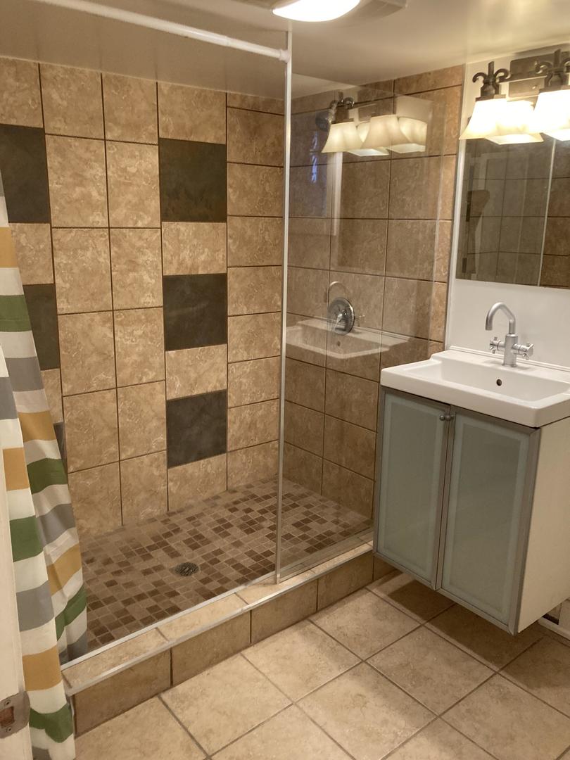 2863 West Belden Avenue, Unit 2 Chicago, IL 60647 - Photo 5 of 7 a bathroom with a sink shower and a mirror
