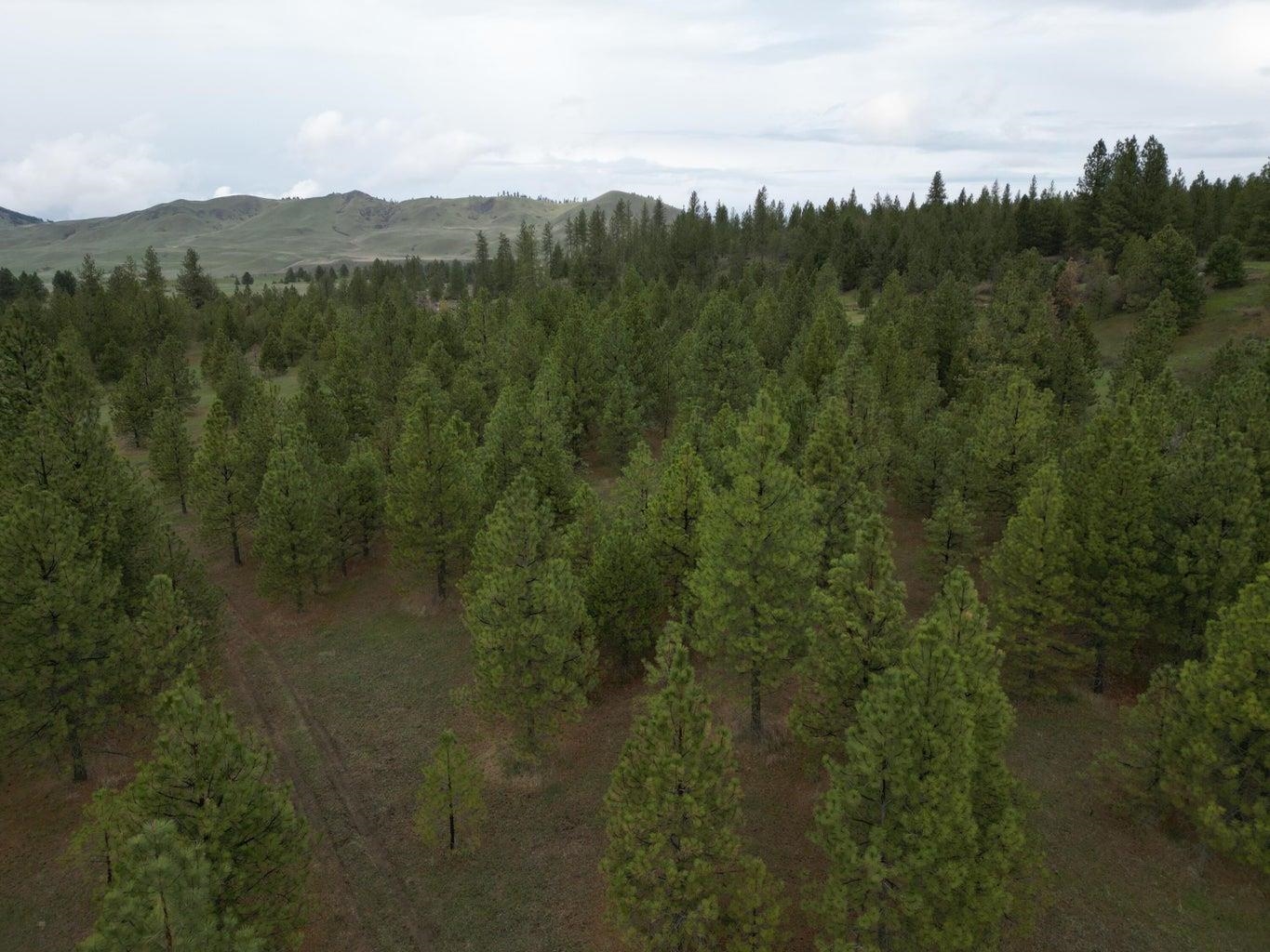 5-xxx Newbill Road Fruitland, WA 99129 - Photo 6 of 28