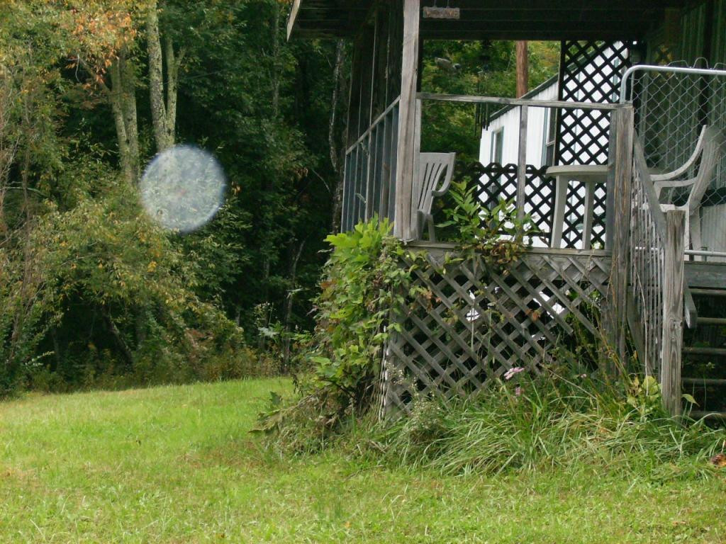 505 Hoyle Road Flag Pond, TN 37657 - Photo 3 of 9 Photo 3