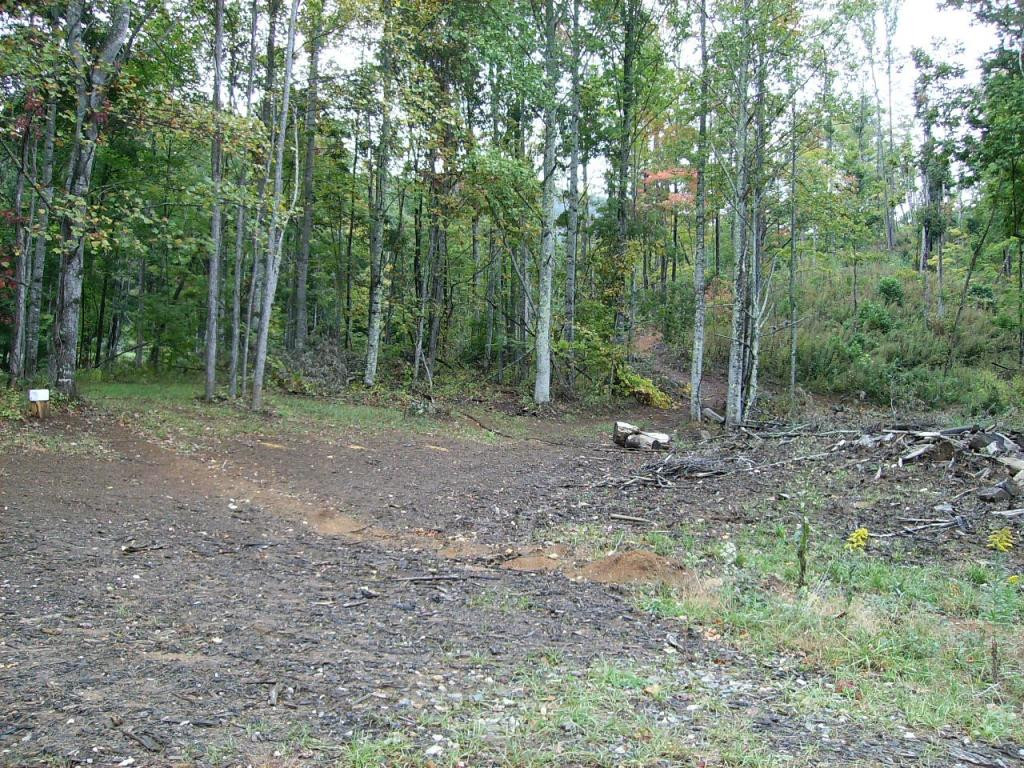 505 Hoyle Road Flag Pond, TN 37657 - Photo 5 of 9 Photo 5