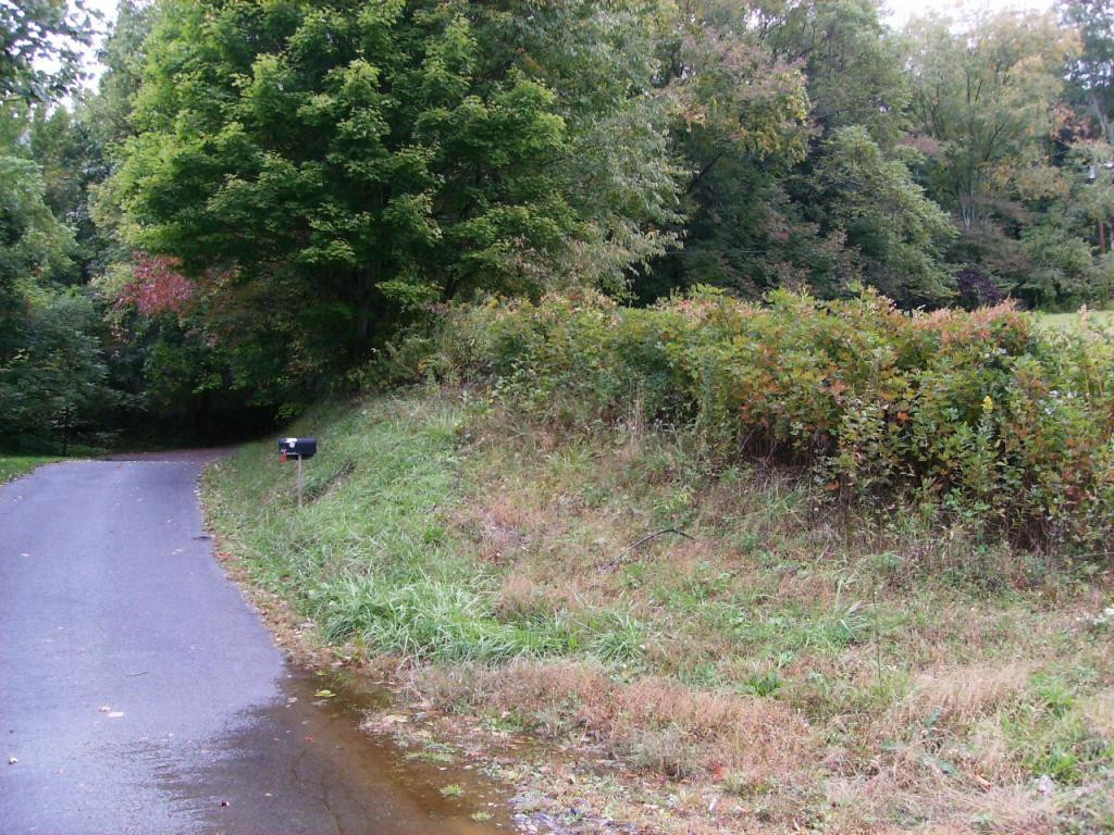 505 Hoyle Road Flag Pond, TN 37657 - Photo 7 of 9 Photo 7
