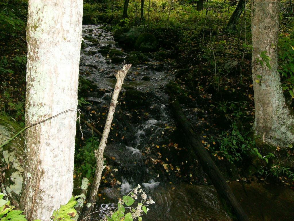 505 Hoyle Road Flag Pond, TN 37657 - Photo 8 of 9 Photo 8