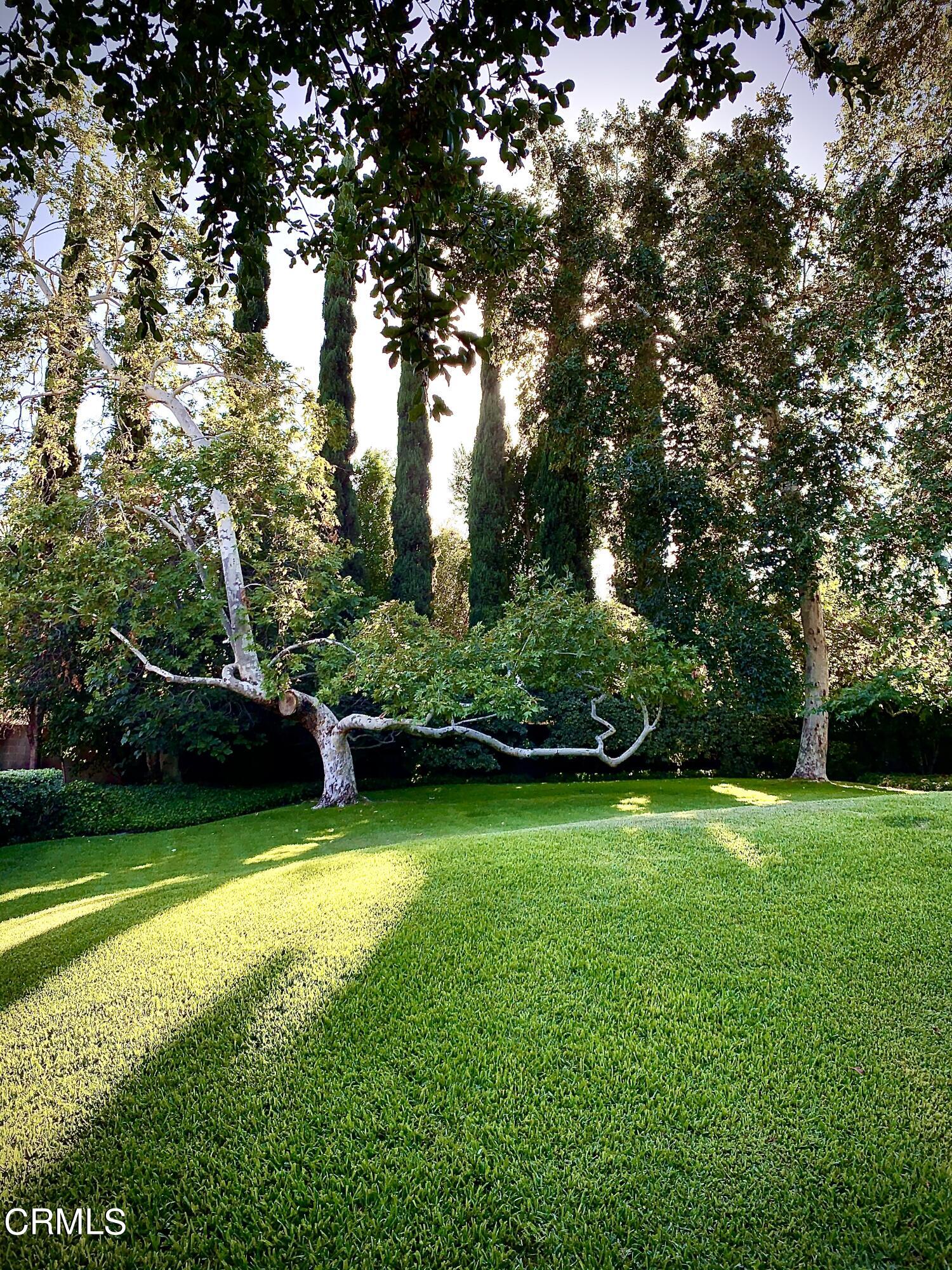 3232 La Vina Way Pasadena, CA 91107 - Photo 23 of 27 a view of a trees in a park