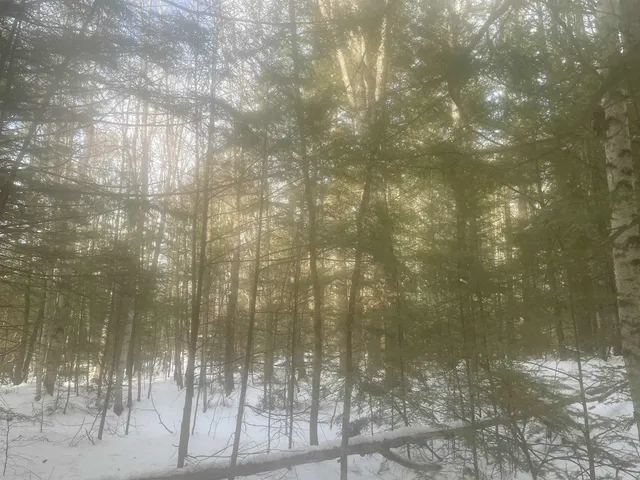 $299,000 | 68-00 Gilman Valley Road, Tamworth, NH 03814