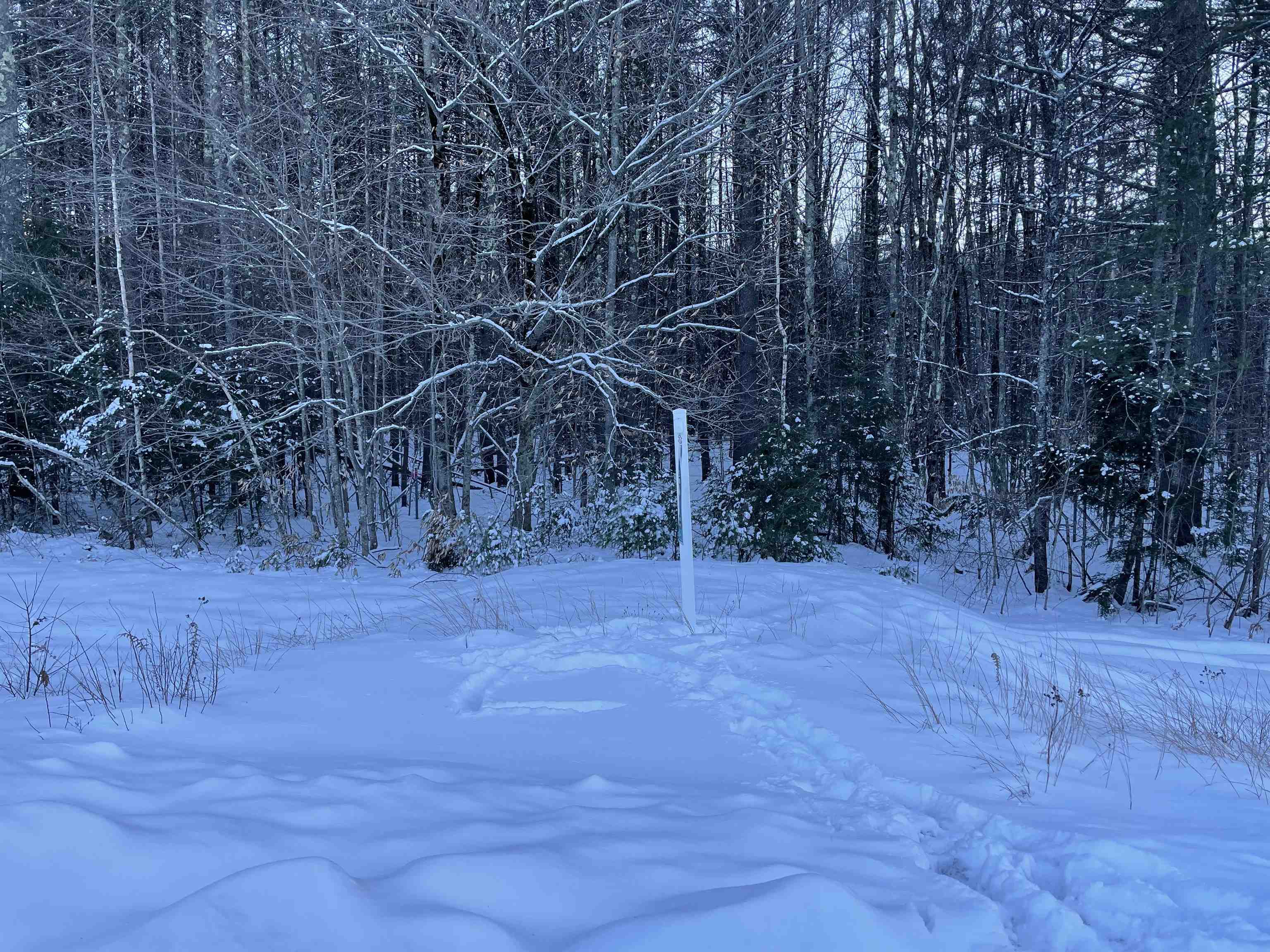 68-00 Gilman Valley Road Tamworth, NH 03814 - Photo 2 of 55