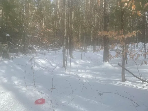 $299,000 | 68-00 Gilman Valley Road, Tamworth, NH 03814