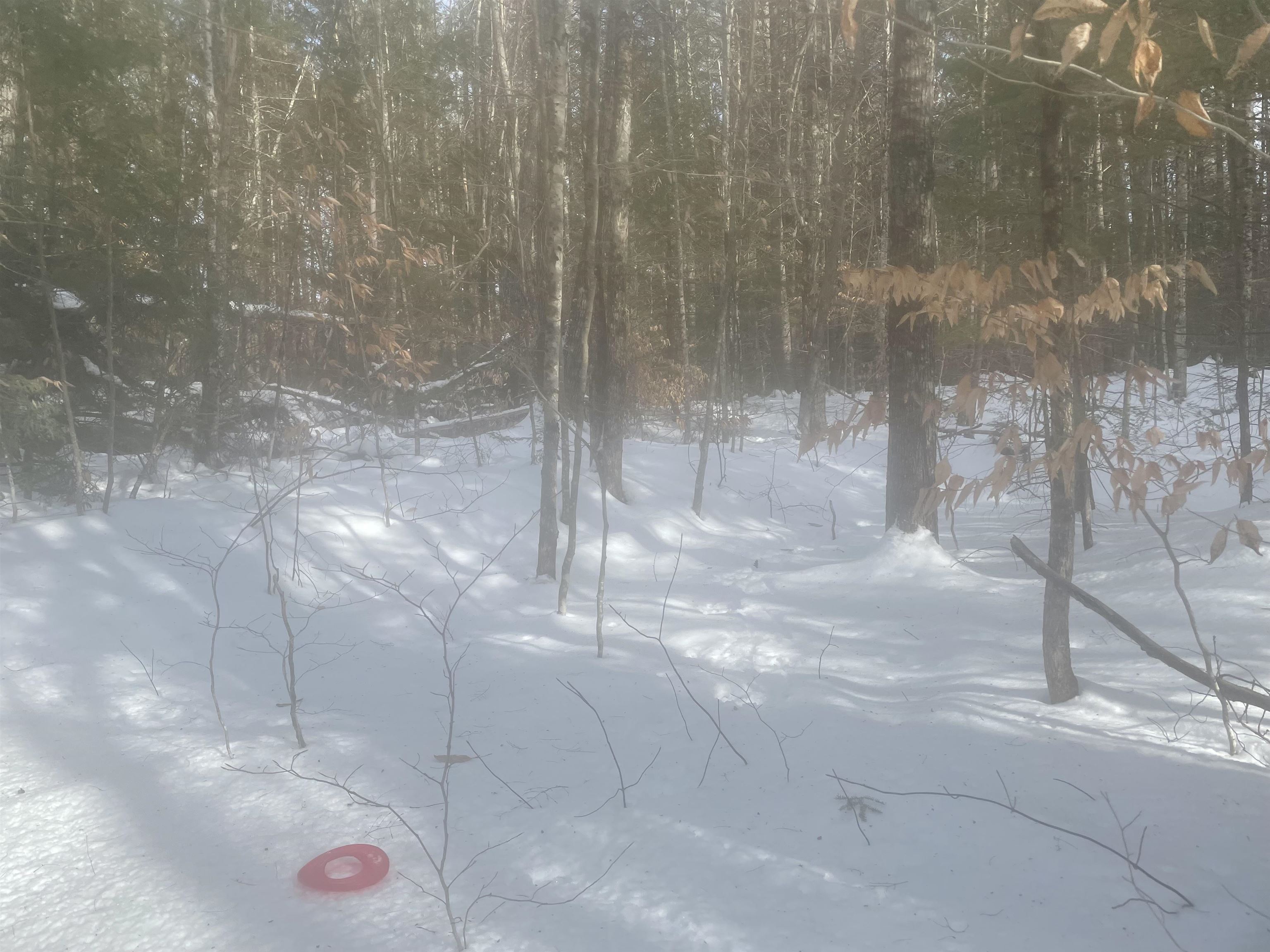 68-00 Gilman Valley Road Tamworth, NH 03814 - Photo 45 of 55