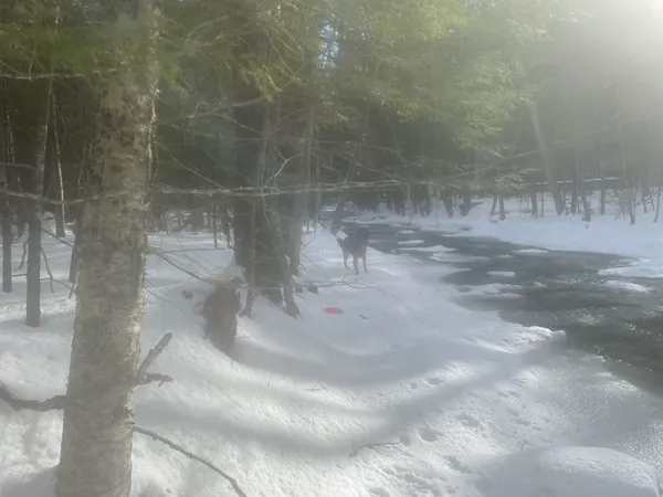 $299,000 | 68-00 Gilman Valley Road, Tamworth, NH 03814