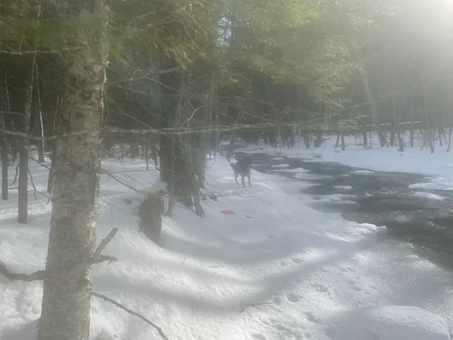 $299,000 | 68-00 Gilman Valley Road, Tamworth, NH 03814