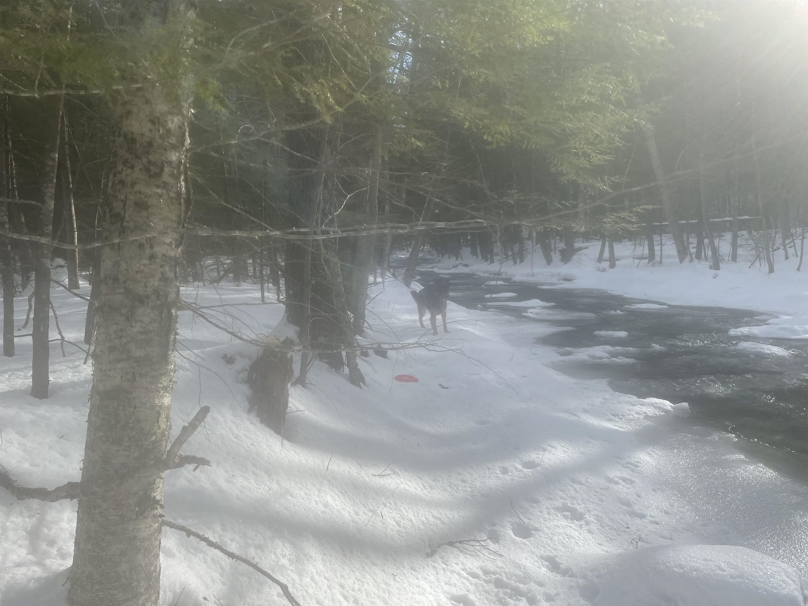 68-00 Gilman Valley Road Tamworth, NH 03814 - Photo 46 of 55