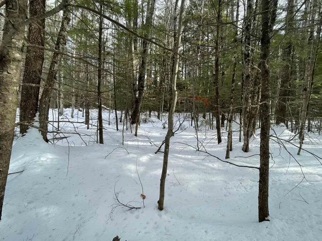 $299,000 | 68-00 Gilman Valley Road, Tamworth, NH 03814