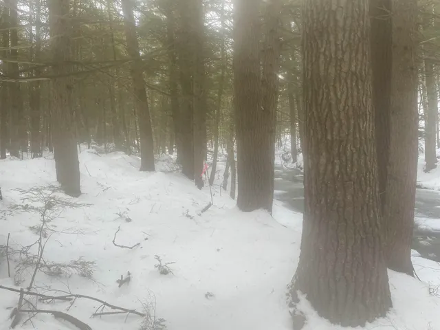 $299,000 | 68-00 Gilman Valley Road, Tamworth, NH 03814