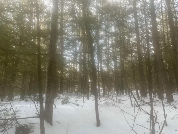$299,000 | 68-00 Gilman Valley Road, Tamworth, NH 03814