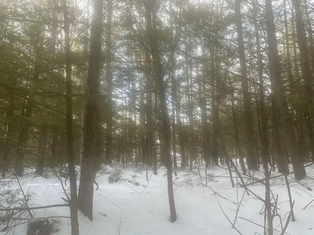 $299,000 | 68-00 Gilman Valley Road, Tamworth, NH 03814